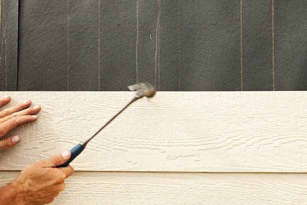 Best Custom Siding Design  in Savanna, IL